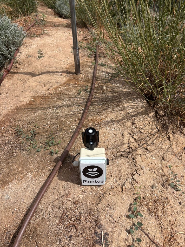 El sensor de radiación solar