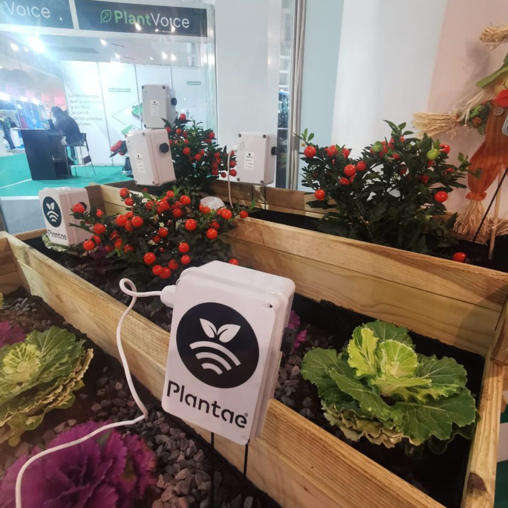 Tecnología Plantae en HortiFruit 2025,