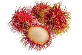 Rambután