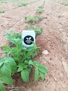 Control de riego y pesticidas con sensores