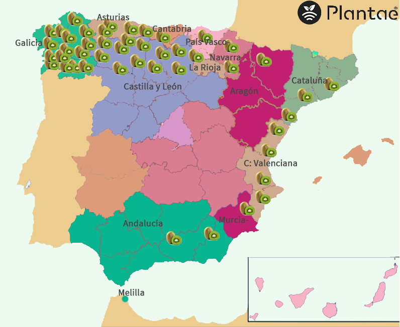 MAPA DE kiwi en España