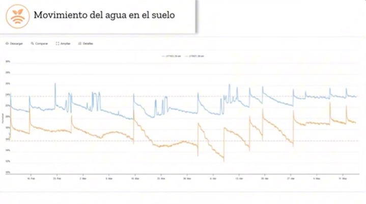 Gráficas de mediciones de humedad a dos profundidades